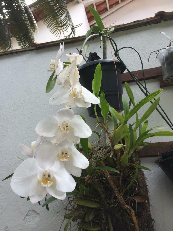 Pousada Acai Araquari Eksteriør billede